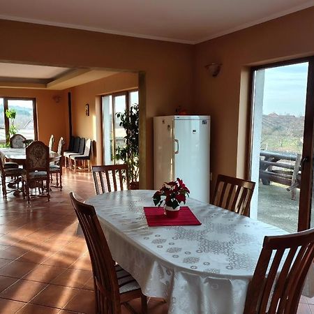 Vis Pension Viile Satu Mare ภายนอก รูปภาพ