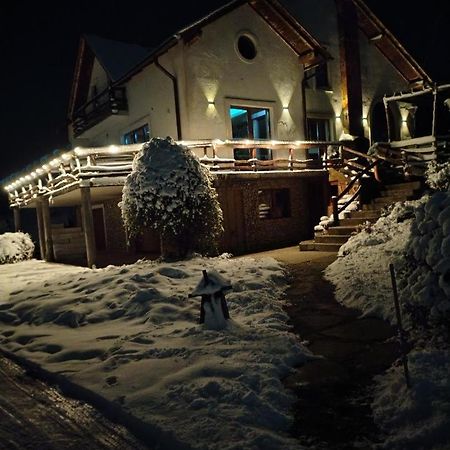 Vis Pension Viile Satu Mare ภายนอก รูปภาพ