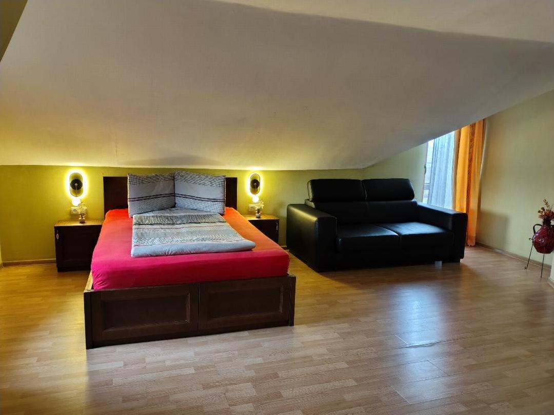 Vis Pension Viile Satu Mare ภายนอก รูปภาพ