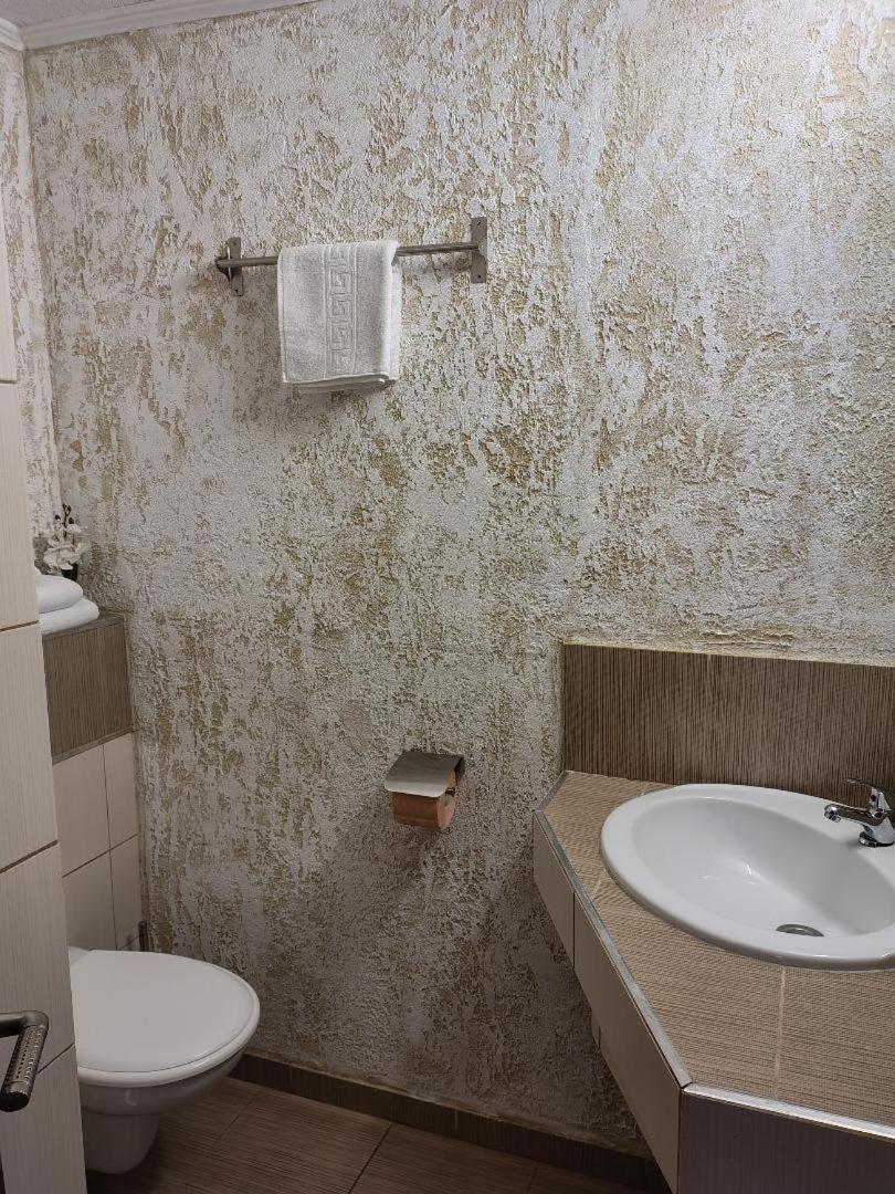 Vis Pension Viile Satu Mare ภายนอก รูปภาพ