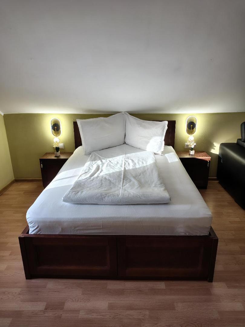 Vis Pension Viile Satu Mare ภายนอก รูปภาพ