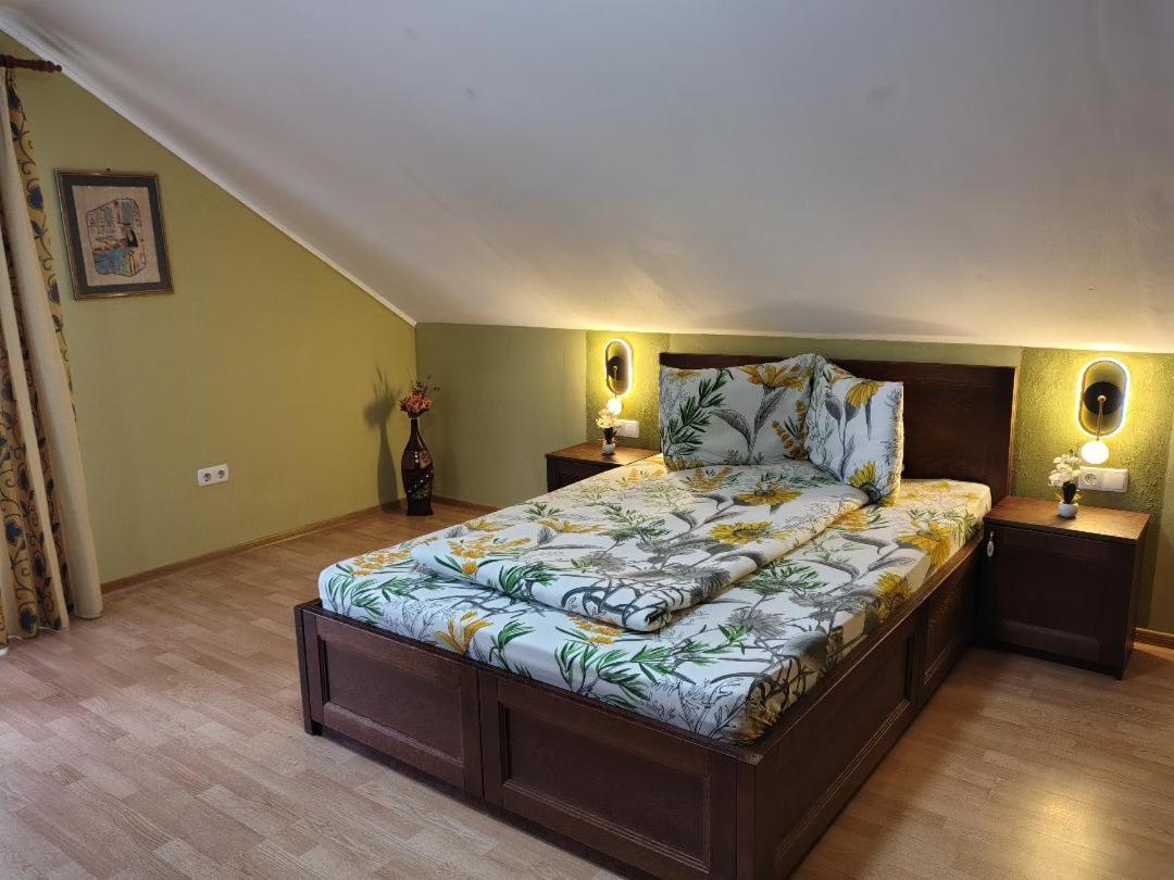 Vis Pension Viile Satu Mare ภายนอก รูปภาพ