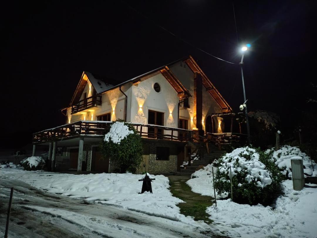 Vis Pension Viile Satu Mare ภายนอก รูปภาพ