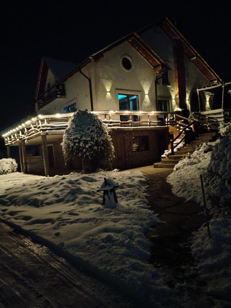 Vis Pension Viile Satu Mare ภายนอก รูปภาพ