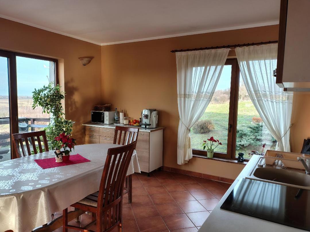 Vis Pension Viile Satu Mare ภายนอก รูปภาพ