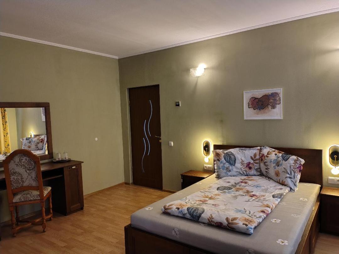 Vis Pension Viile Satu Mare ภายนอก รูปภาพ
