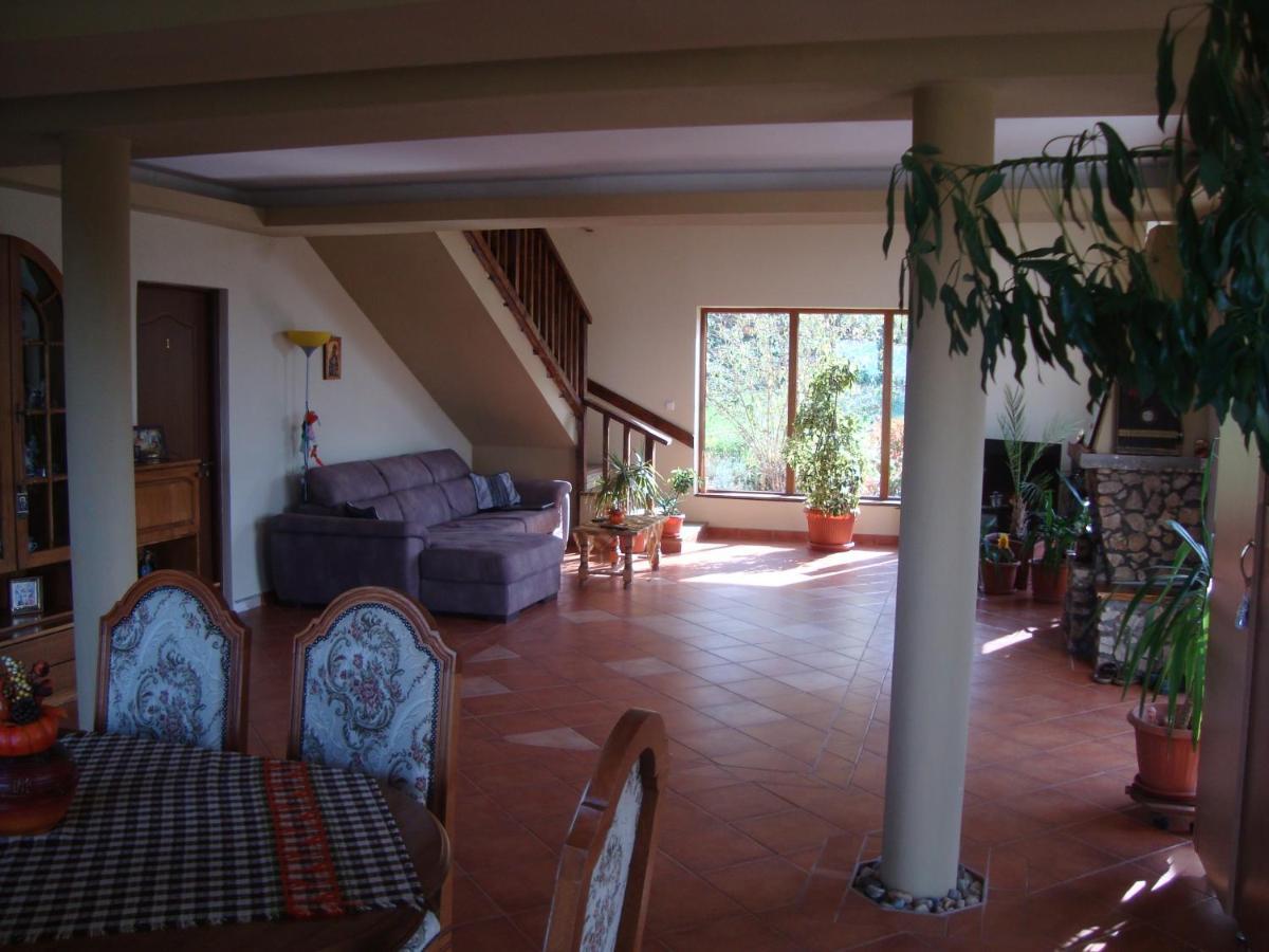 Vis Pension Viile Satu Mare ภายนอก รูปภาพ