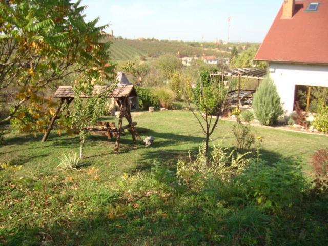 Vis Pension Viile Satu Mare ภายนอก รูปภาพ