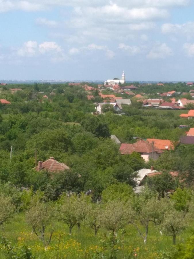 Vis Pension Viile Satu Mare ภายนอก รูปภาพ