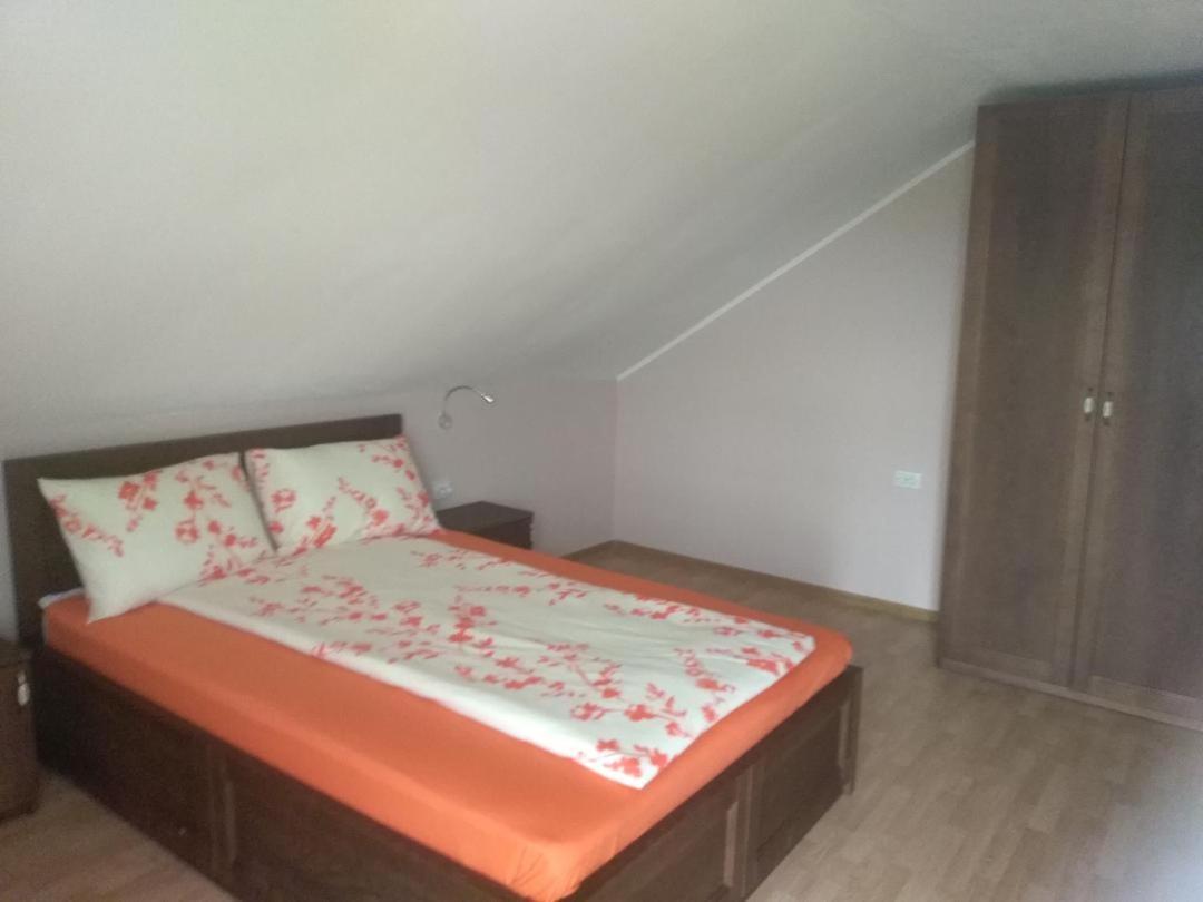 Vis Pension Viile Satu Mare ภายนอก รูปภาพ