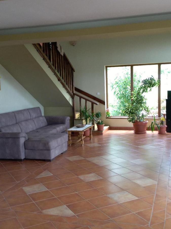 Vis Pension Viile Satu Mare ภายนอก รูปภาพ