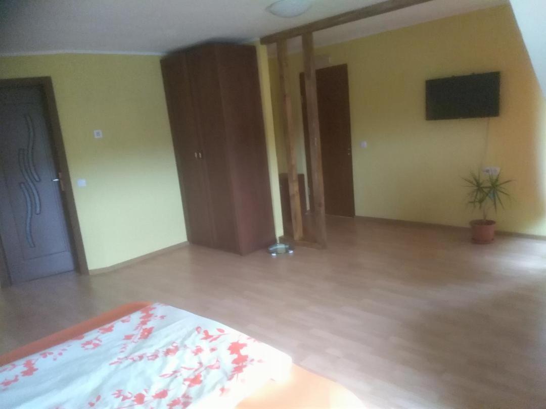 Vis Pension Viile Satu Mare ภายนอก รูปภาพ