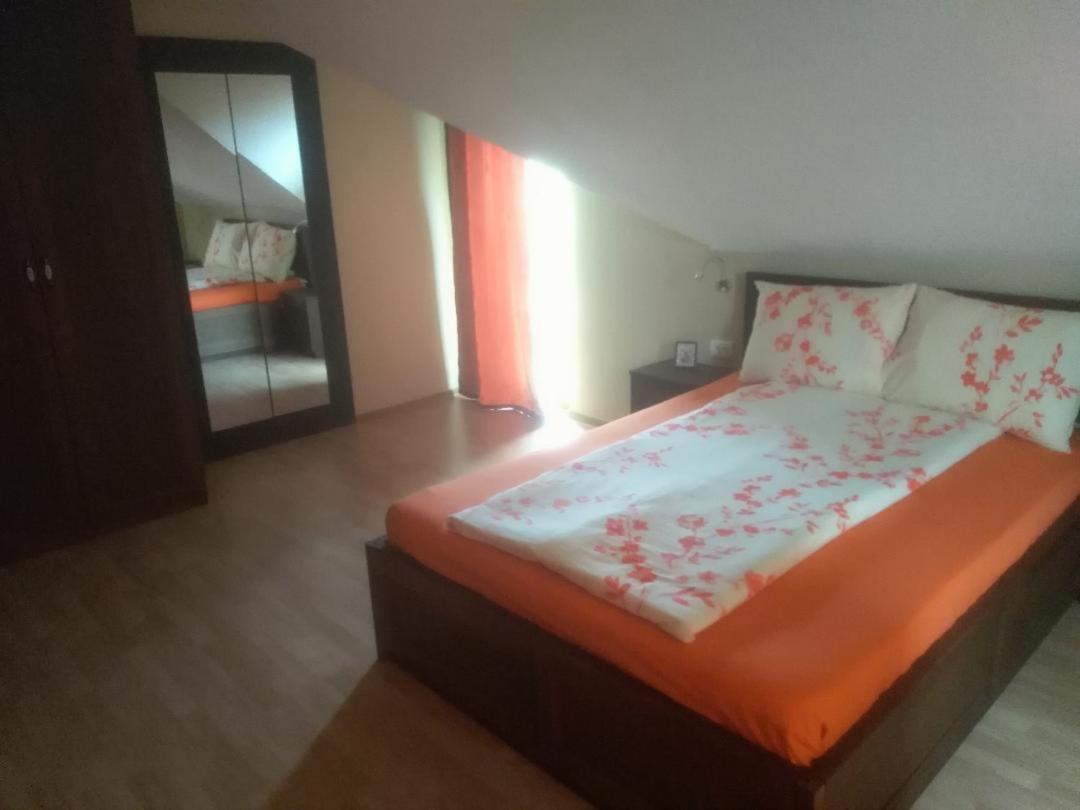 Vis Pension Viile Satu Mare ภายนอก รูปภาพ