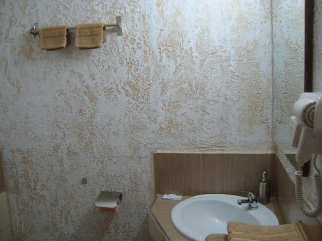 Vis Pension Viile Satu Mare ภายนอก รูปภาพ