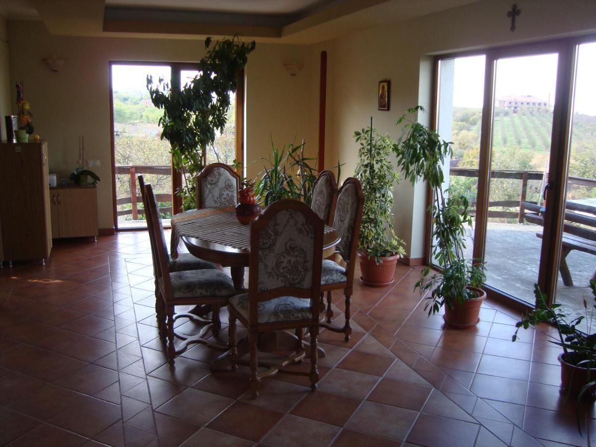 Vis Pension Viile Satu Mare ภายนอก รูปภาพ