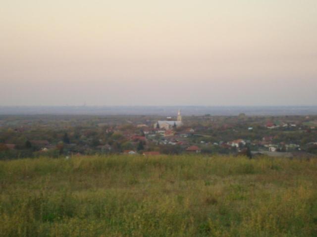 Vis Pension Viile Satu Mare ภายนอก รูปภาพ